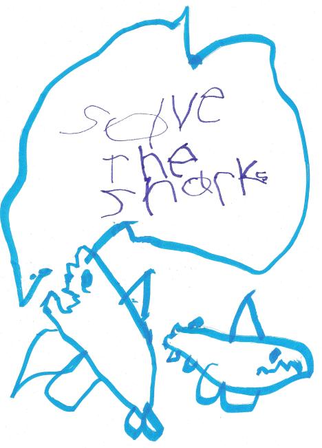 shark final